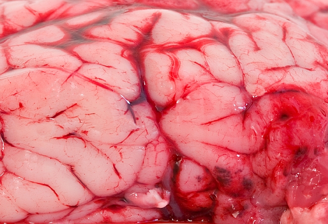 Website bouwer Publi4u bouwt sites op maat Website bouwer Publi4u bouwt sites op maat