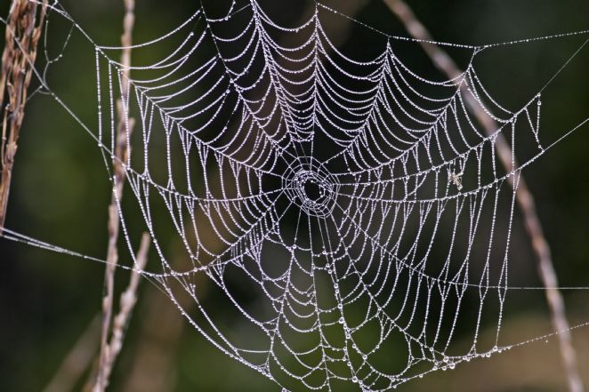 Aanpassingen uitvoeren om uw site up-to-date te houden via CMS Aanpassingen uitvoeren om uw site up-to-date te houden via CMS