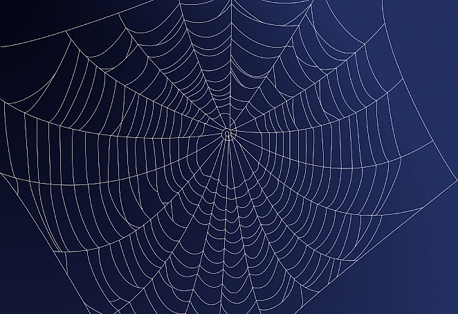 Uw website op het world wide web dankzij websitebouwer Publi4u