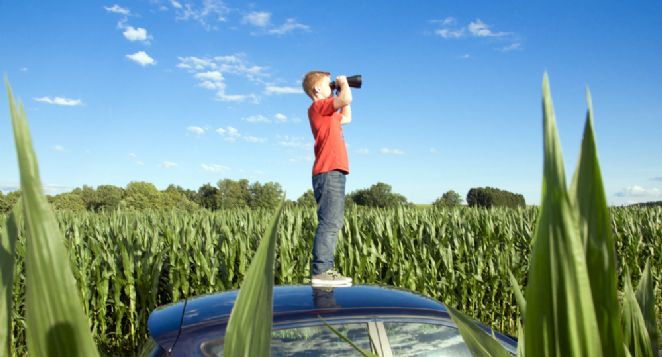 Hoe informatie optimaal weergeven op uw website? Hoe informatie optimaal weergeven op uw website?