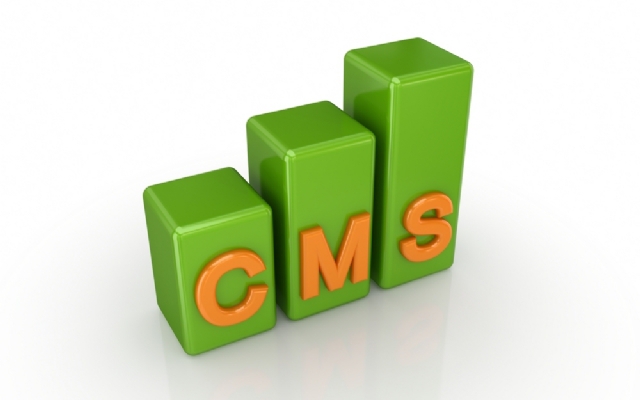Content Management Systeem: CMS op maat