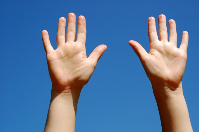 Website laten bouwen met hoge positie in zoekmachines Website laten bouwen met hoge positie in zoekmachines