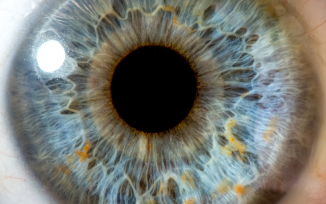 Tips & tricks voor een goede scanbaarheid van webteksten Tips & tricks voor een goede scanbaarheid van webteksten