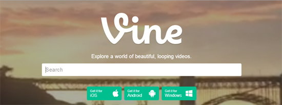 Vine