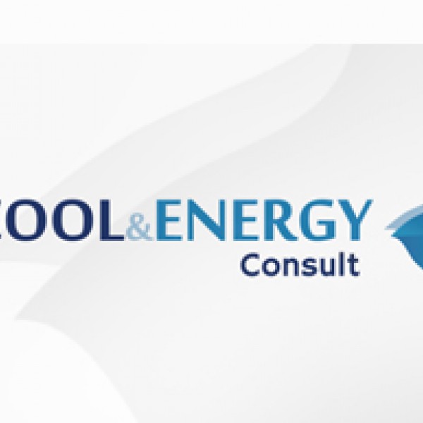 Krachtig logo voor Cool & Energy Consult