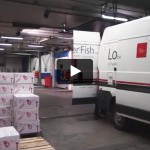 Bedrijfsvideo Lobster Fish uit Deerlijk