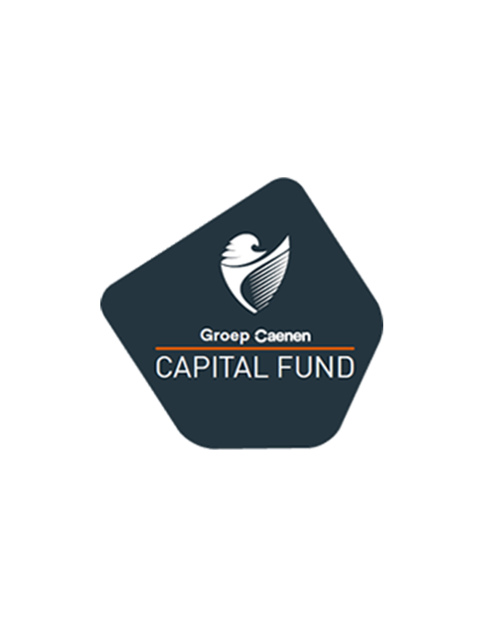 Website op maat voor Groep Caenen Capital Fund Website op maat voor Groep Caenen Capital Fund
