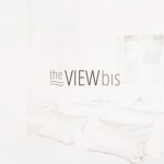 theviewbis-logo-detail