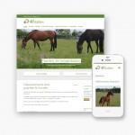 Pro pakket website voor Av Stables uit Izegem