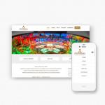 Pro Pakket website voor Epic Pin Ball uit Anzegem